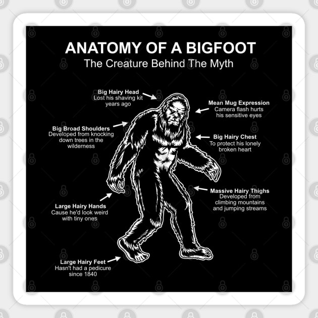 Funny Anatomy of Bigfoot Magnet by MedleyDesigns67